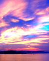 蔡雲 先生