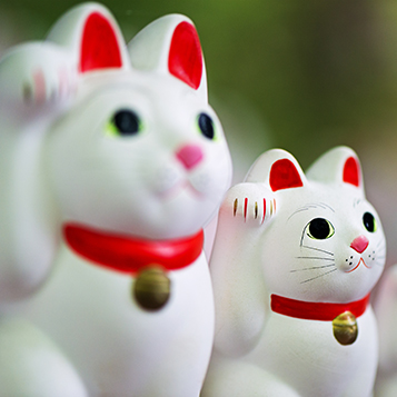 幸運を招く招き猫のイメージ