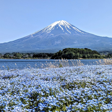霊的パワーが宿る富士山