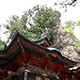 榛名神社本殿うしろの御姿石のイメージ